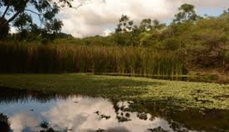 Medio Ambiente Abandona Parque Los Humedales de Laguna Prieta en Santiago -  Precisión - Con la información precisa