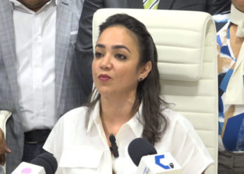 Faride anuncia que «por decisión estratégica» del PRM no competirá en próximas elecciones
