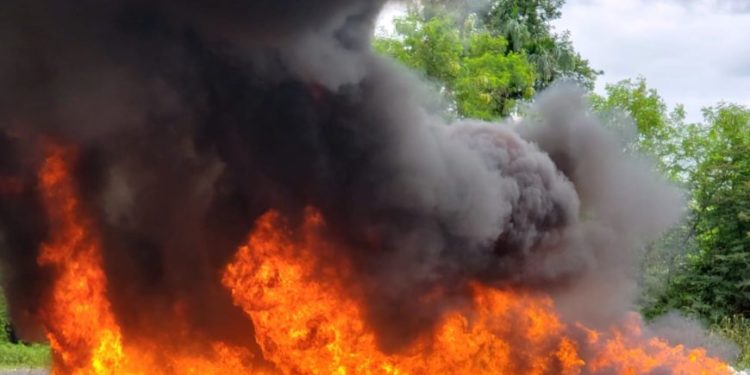 Procuraduría quema más de 102 kilos de drogas