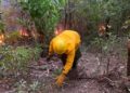 Bomberos forestales investigan si hubo responsables en el incendio en loma Novillero