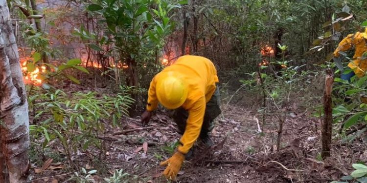 Bomberos forestales investigan si hubo responsables en el incendio en loma Novillero