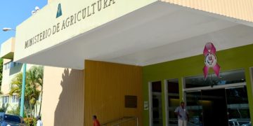 Entregan cheques a productores de invernaderos afectados por lluvias en Rancho Arriba