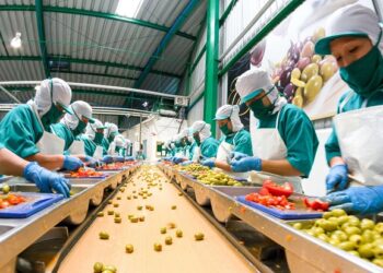 El futuro de la inocuidad alimentaria y su importancia para la seguridad alimentaria para la humanidad