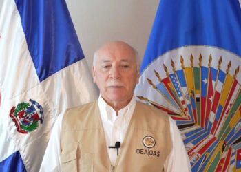 Preocupa a Misión Electoral de la OEA baja participación electoral y condena actos de violencia