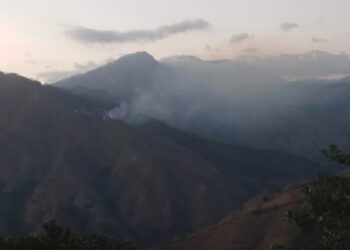 Bomberos forestales controlan incendios en las lomas de San Juan y Monseñor Nouel