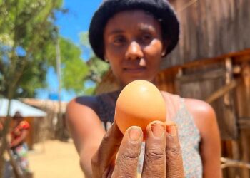 En primera persona: «Mis huevos son demasiado caros para comerlos» (y eso es bueno)
