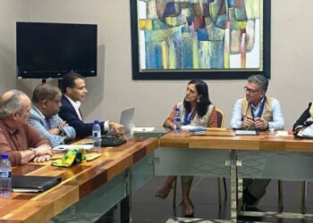 El PLD denuncia ante misión de la OEA el supuesto abuso de recursos del Estado