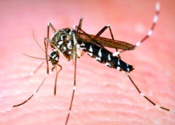 R. Dominicana-Ministerio de Salud Pública reporta 3,889 casos sospechosos de dengue en las primeras cinco semanas de este año y un incremento de 157% en Las Américas