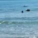 Reportan dos personas fallecidas y una búsqueda activa en las playas