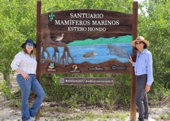 Fondo MARENA lidera creación del Centro de Visitantes del “Santuario de Mamíferos Marinos de Estero Hondo”