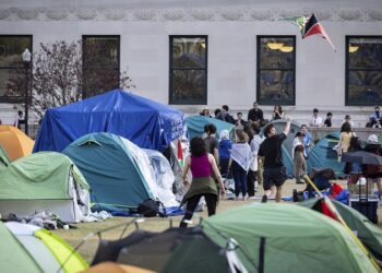 Arrestos y posible despliegue de la Guardia Nacional: todo sobre las protestas propalestinas en las universidades de EE.UU.