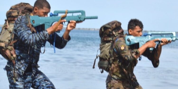 Fuerzas Armadas Francesas y Dominicanas concluyen ejercicios militares “Dunas 2024”
