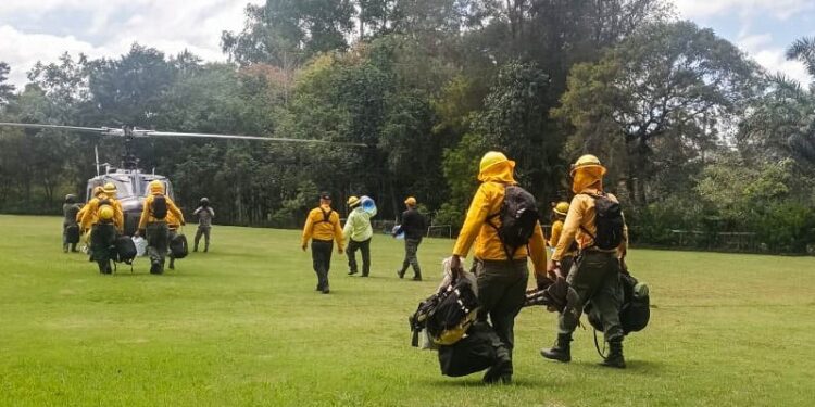 Bomberos forestales combaten incendio en Parque Nacional José del Carmen Ramírez