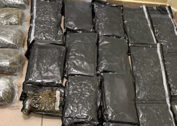 Detienen a una estadounidense con 22 paquetes de marihuana en el Aeropuerto del Cibao