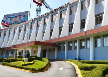 Tribunal Constitucional conoce recursos contra la Ley que crea el DNI