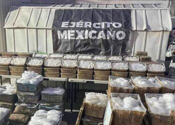 El Ejército mexicano decomisa un gran cargamento de droga escondida entre vísceras de animales