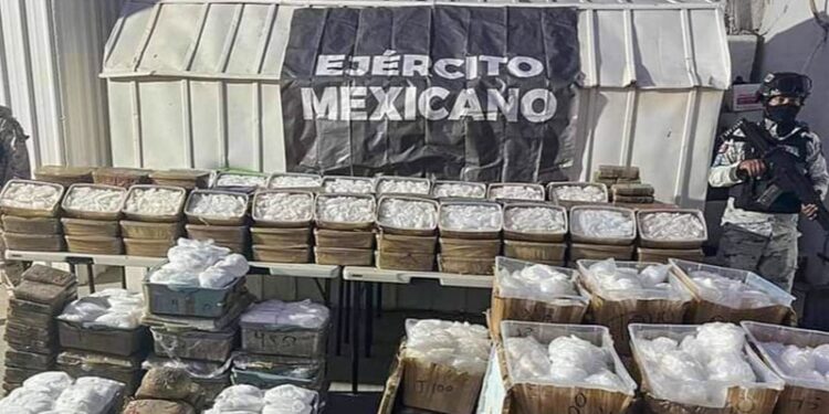 El Ejército mexicano decomisa un gran cargamento de droga escondida entre vísceras de animales