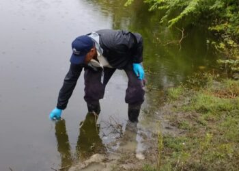 Medio Ambiente investiga muerte de peces en una laguna de Puerto Plata