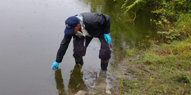 Medio Ambiente investiga muerte de peces en una laguna de Puerto Plata