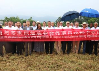 Tecnología China aporta rendimiento producción arroz en RD