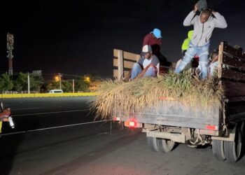 Agente de la DIGESETT sorprende indocumentados ocultos en camión