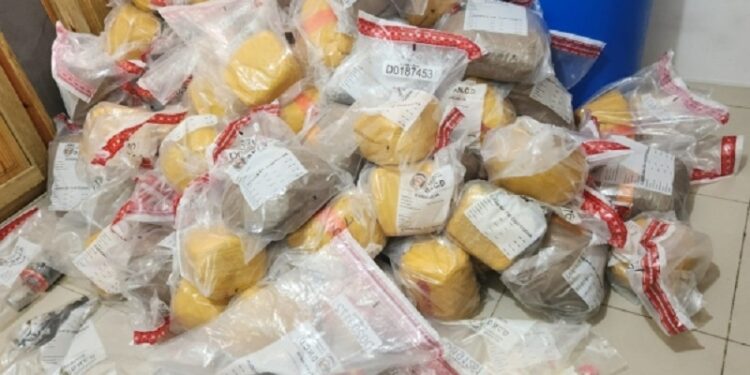 DNCD desmantela red de narcotráfico, arresta varios y ocupa 500 libras de marihuana