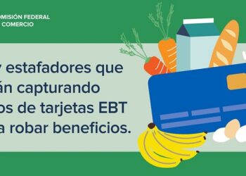 Protege tus beneficios del programa SNAP contra prácticas ilegales para capturar los datos de tu tarjeta