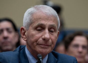 «Debería estar en prisión»: Fauci rinde cuentas en el Capitolio sobre la gestión del covid-19