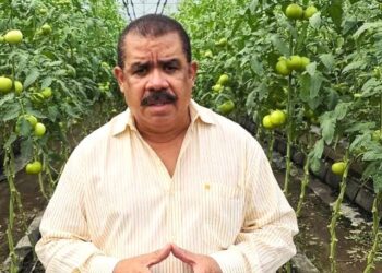 Sánchez Roa dispone activar la agropecuaria para evitar más impuestos con reformas