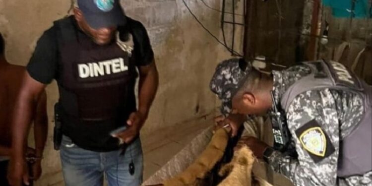 Policía desmantela punto de drogas y recupera motocicleta