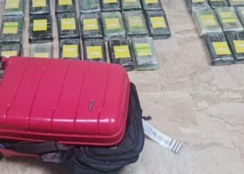 Frustran envío de 39 paquetes de cocaína a Suiza