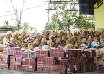 Gobierno incinera 7.1 millones de unidades de mercancías ilícitas valoradas en 800 millones de pesos