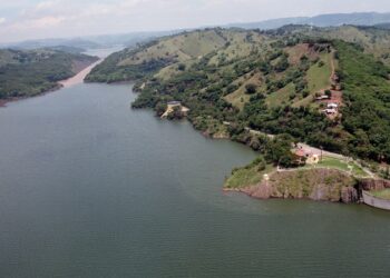Indrhi: Sistemas de riego operan con normalidad tras paso de huracán Beryl