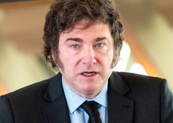 La motosierra bajo la lupa: ¿ha cumplido Milei sus promesas?