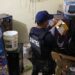 Autoridades allanan casa utilizada para reparar y distribuir máquinas tragamonedas ilegales