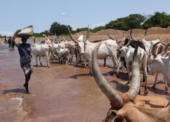 El calentamiento global será de hasta 3 °C con los compromisos actuales
