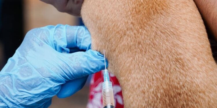 Ministerio de Salud inicia Jornada Nacional de Vacunación Contra la Rabia