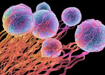 Desarrollan un tratamiento eficaz para curar y prevenir el cáncer