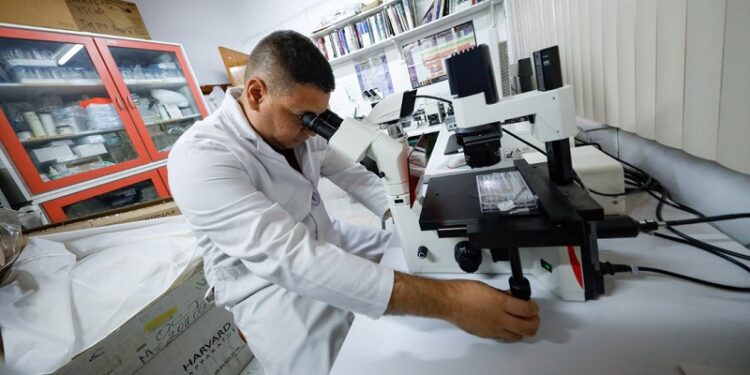 El hallazgo de investigadores venezolanos que podría cambiar el tratamiento del cáncer