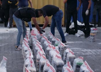 Interceptan cargamento de 310 paquetes de cocaína