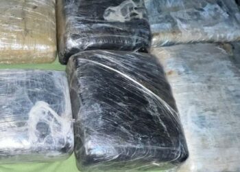 Ejército golpea estructuras criminales en la frontera