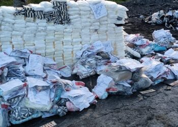 El Inacif quema cerca de media tonelada de drogas incautadas