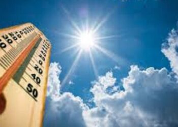 Soleado y con escasas nubes, aumentos nubosos y aguaceros locales en la tarde