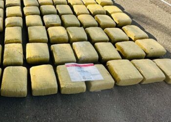 Autoridades desarticulan una red de narcotráfico y apresan a seis hombres