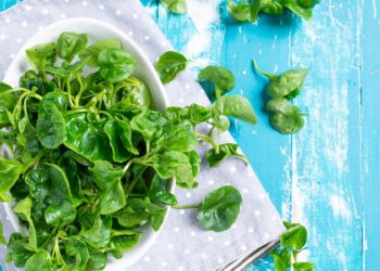 Esta es la verdura más saludable, que ayuda a todo el organismo y puede proteger del cáncer