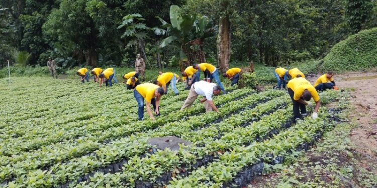 Privados de libertad plantaron más de tres mil árboles en este año