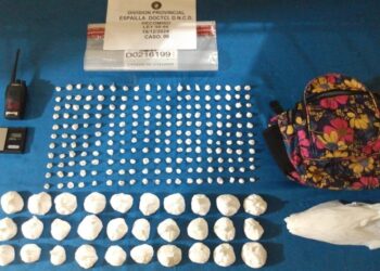 DNCD y autoridades ocupan 119 mil gramos de distintas drogas