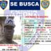 Policía busca a el «Gago», acusado de matar a su expareja