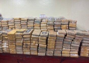 Certifican es cocaína 766 paquetes ocupados en Pedernales