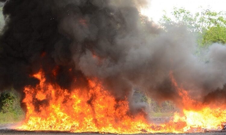 INACIF quema 929 kilos de distintas drogas incautadas en enero